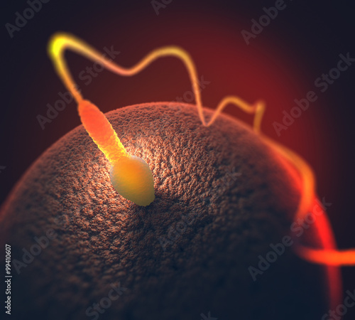 Photography Human reproduction. Image concept of sperm.