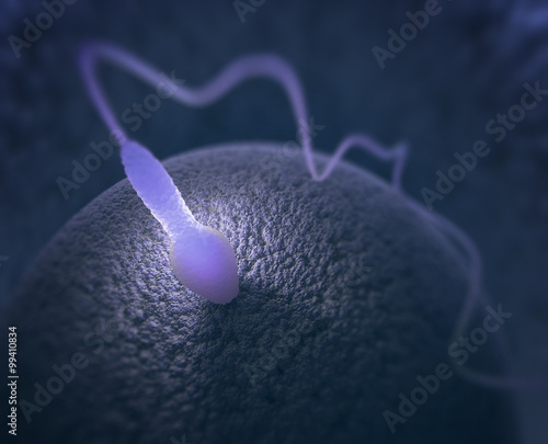 Slika na platnu Human reproduction. Image concept of sperm.