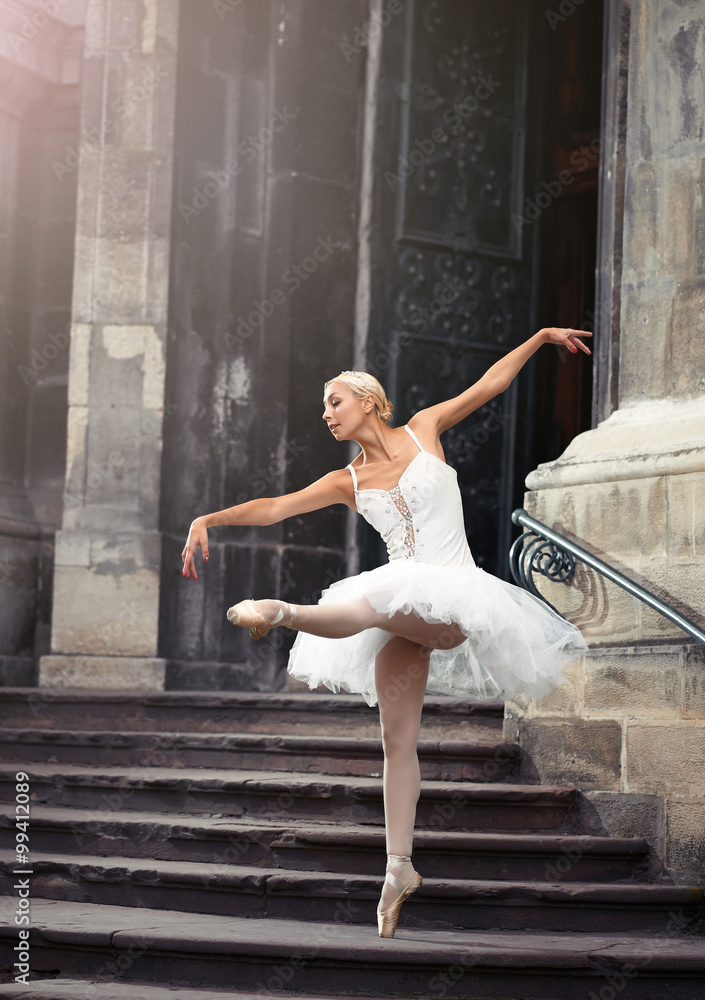 Fototapeta premium She makes you wanna dance. Soft focus portrait of a stunning female ballet performer outdoors