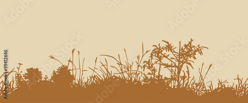 Fotografie, Obraz Grass. Horizontal seamless pattern