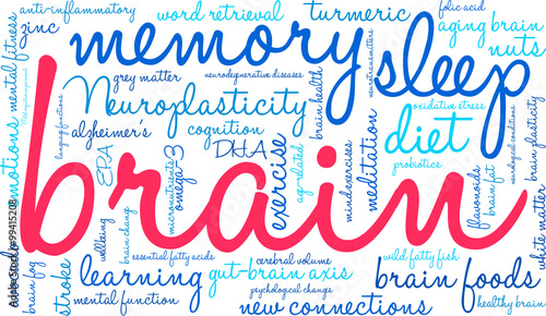 Brain Word Cloud