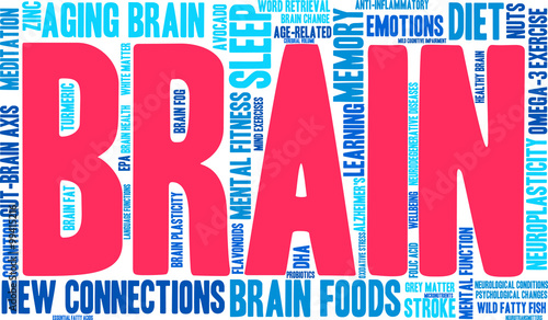 Brain Word Cloud