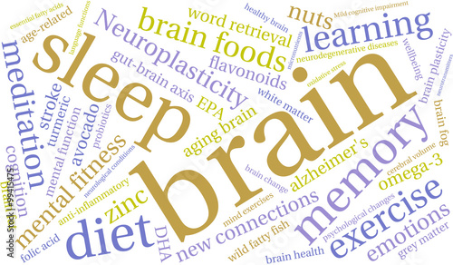 Brain Word Cloud