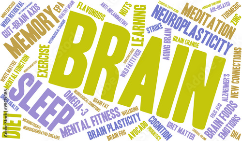 Brain Word Cloud on a white background. 