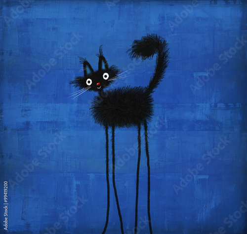 Fototapeta Naklejka Na Ścianę i Meble -  Black Fluffy Cat with Long Thin Legs