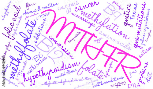 MTHFR Word Cloud