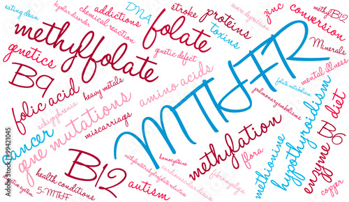MTHFR Word Cloud