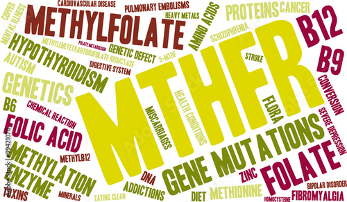 MTHFR Word Cloud on a white background. 