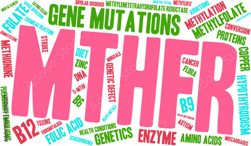 MTHFR Word Cloud