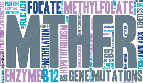 MTHFR Word Cloud