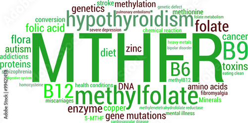 MTHFR Word Cloud on a white background. 