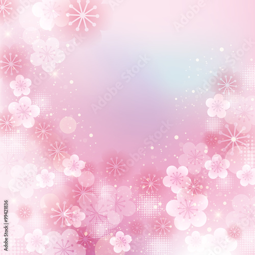 Japanese apricot flower