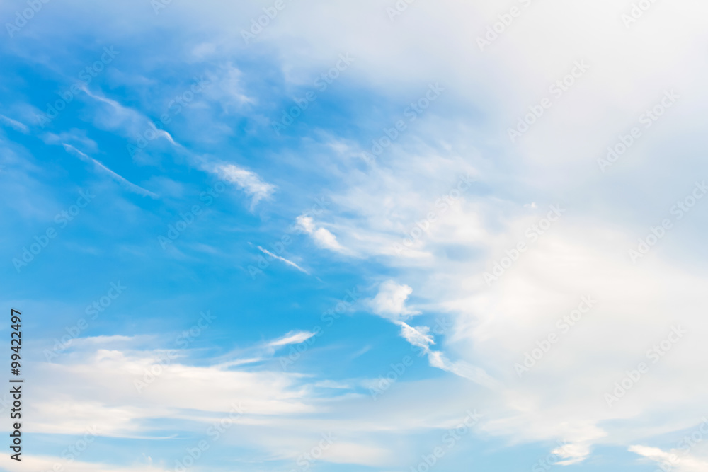 Fototapeta premium cloud and blue sky