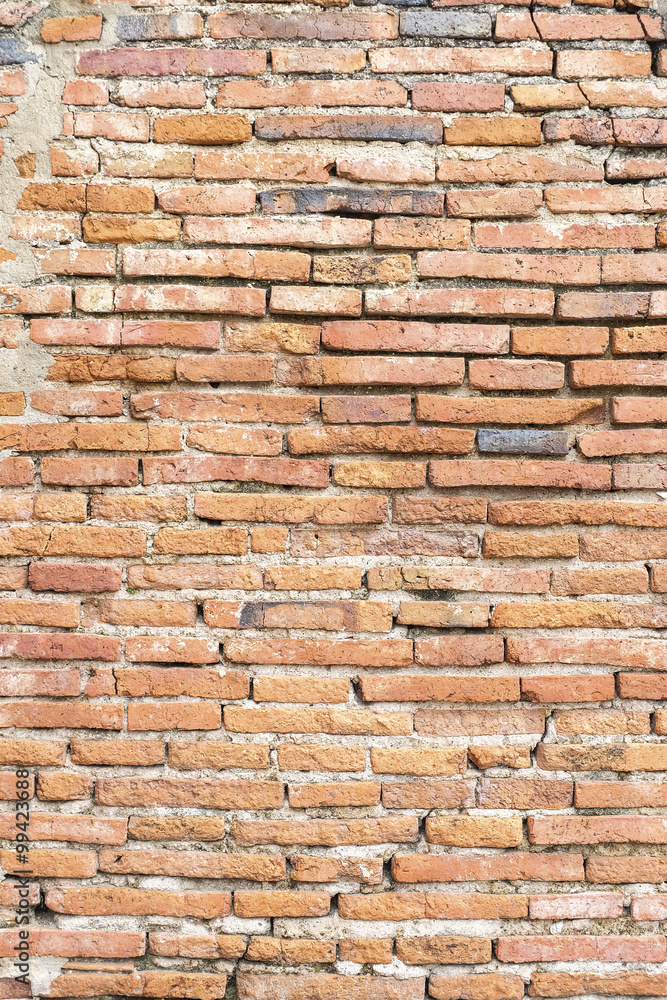 Obraz premium Brick wall