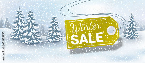 Winter sale landscape background with label
