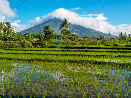 Mayon volcano photo