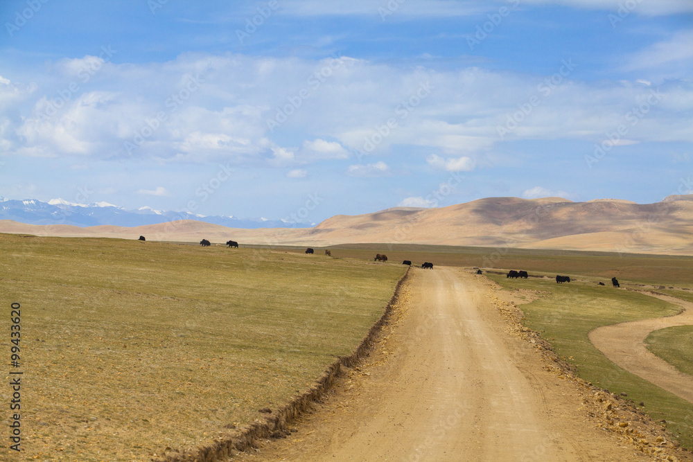 Beautiful landscape in Tibet, China Beautiful landscape in Tibet, China