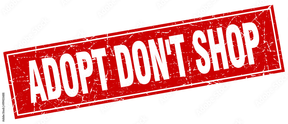 adopt don't shop red square grunge stamp on white adopt don't shop red square grunge stamp on white