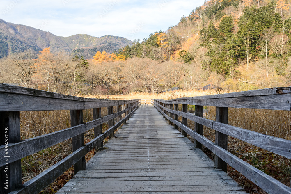 wood walking platform  at Yumoto Onsen marsh area on Autumn, Nikko in Japan