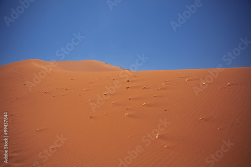 Sands dunes in the desert