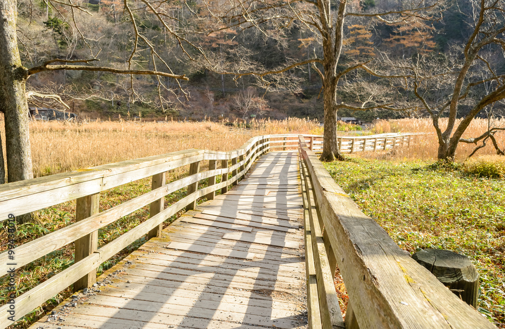 wooden walking platform  at Yumoto Onsen marsh area , Nikko in Japan