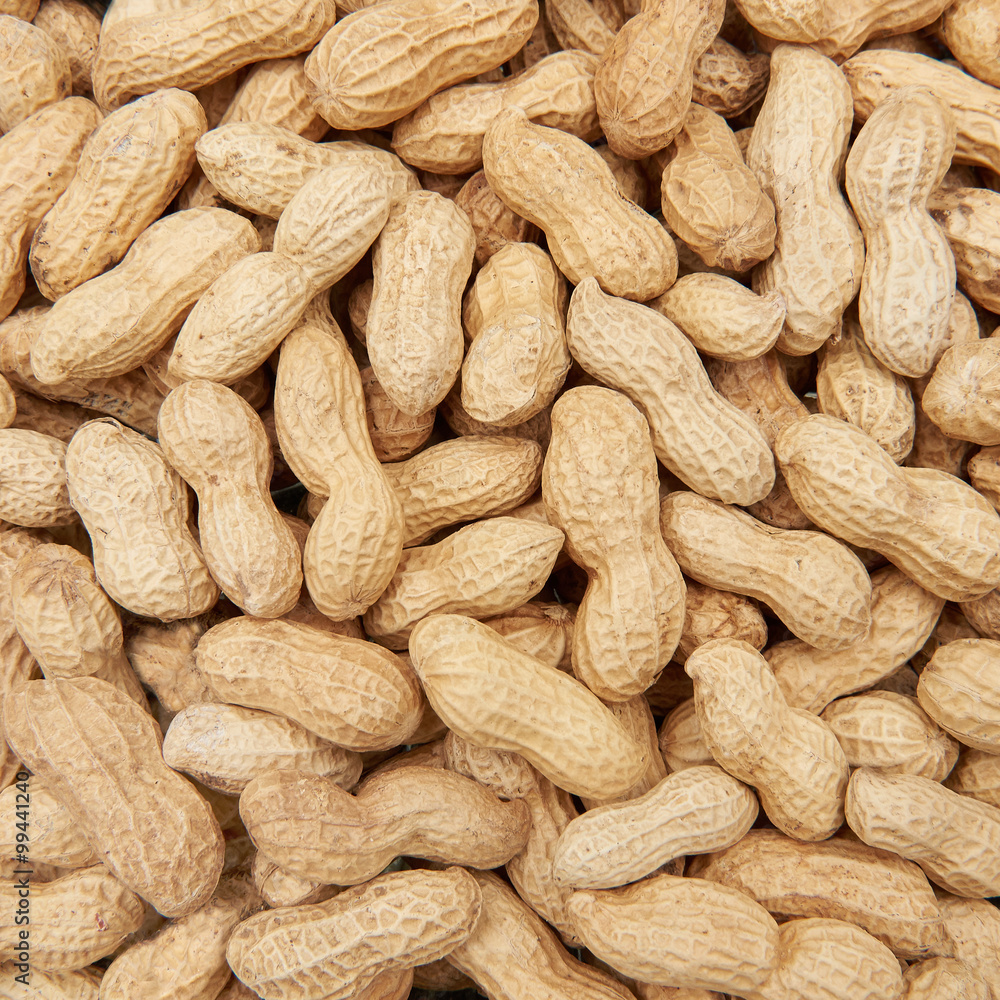 Shelled peanuts (Arachis hypogaea) Shelled peanuts (Arachis hypogaea)