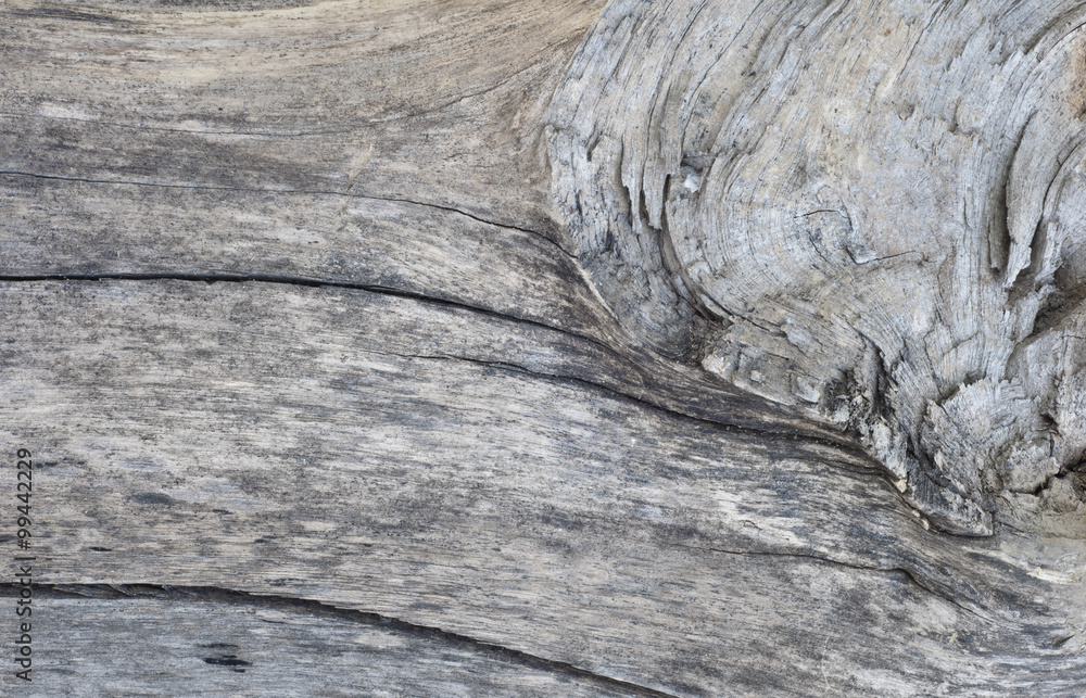 Fototapeta premium Wood texture background
