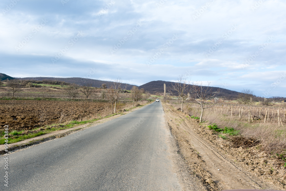 Asphalt rural road with trees and beautiful sky Asphalt rural road with trees and beautiful sky
