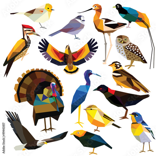 Birds-set colorful birds low poly design isolated on white background.
Avocet,Eagle,Rail, Bird of paradise ,Flameback,Manakin,Jay,Kea,Heron,Owl,Parula,Longspur,Verdin,Turkey,Warbler