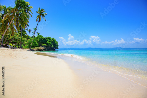 Fototapeta Naklejka Na Ścianę i Meble -  paradise tropical beach