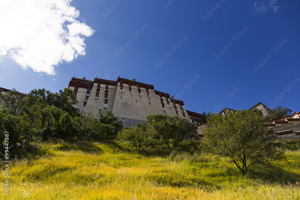 Potala palace in Tibet, China