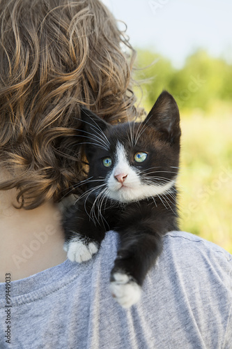 kitten on the shoulder