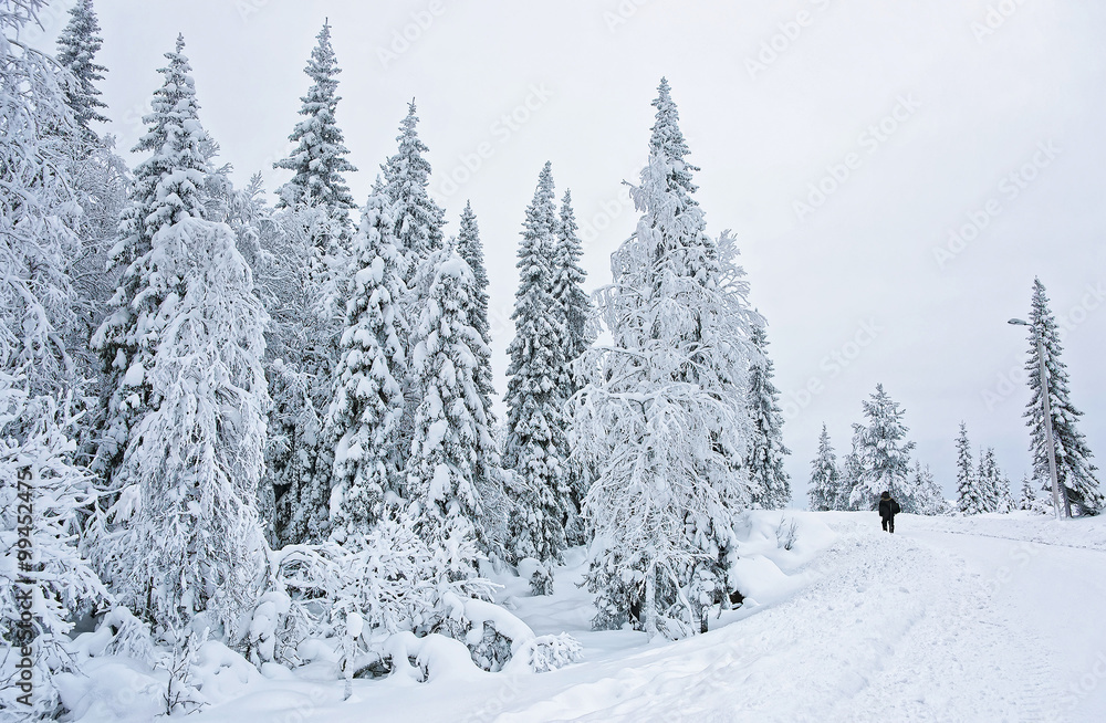 Man in the snow covered road in Ruka in Finland on the Arctic circle Man in the snow covered road in Ruka in Finland on the Arctic circle