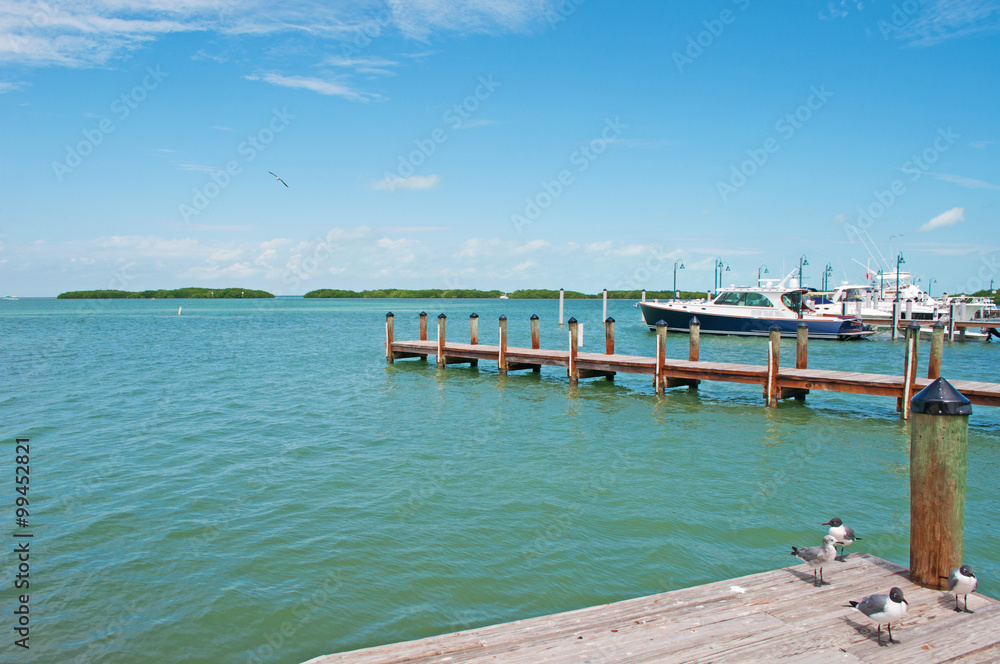 Molo, gabbiani, motoscafi, barche, sole, mare, relax, Key West, isole Keys, Florida, America, Usa