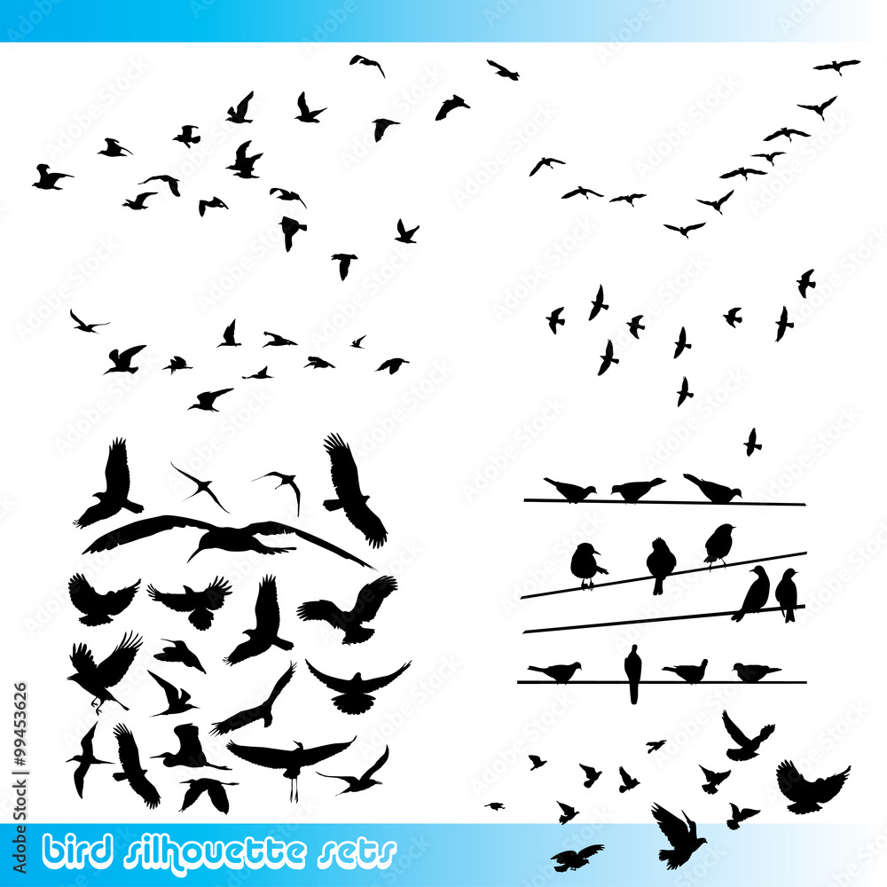 Naklejka premium Bird silhouettes set