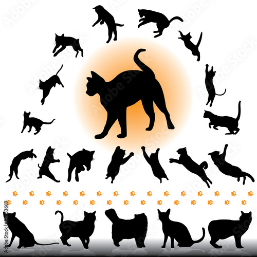 Cat silhouettes set