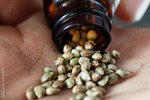 pouring marijuana seeds from a jar