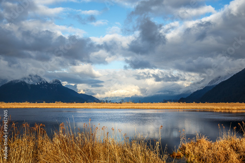 Marsh with mountains in the background and dry grass in the foreground