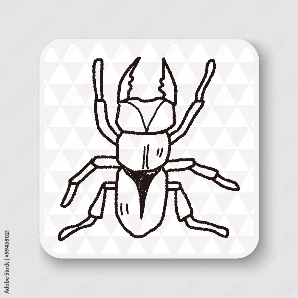 beetle doodle beetle doodle