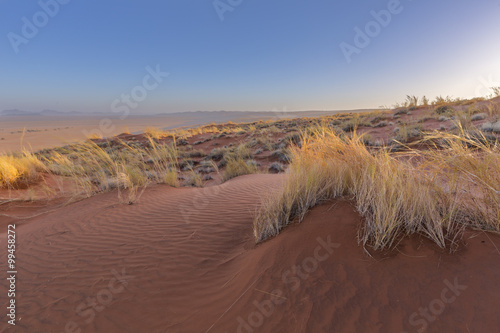 Patterns in the sand on the dune