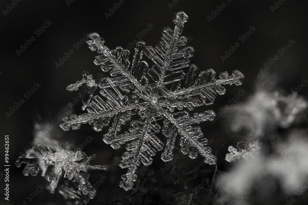 Obraz premium Extreme magnification - Real snowflake