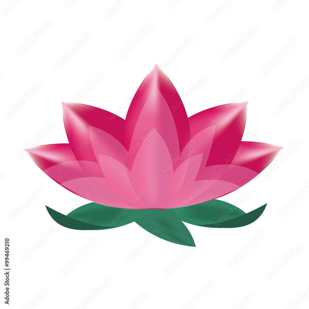 illustration of lotus illustration of lotus