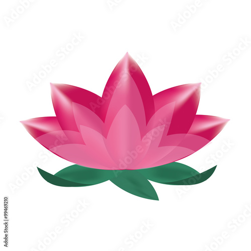 illustration of lotus