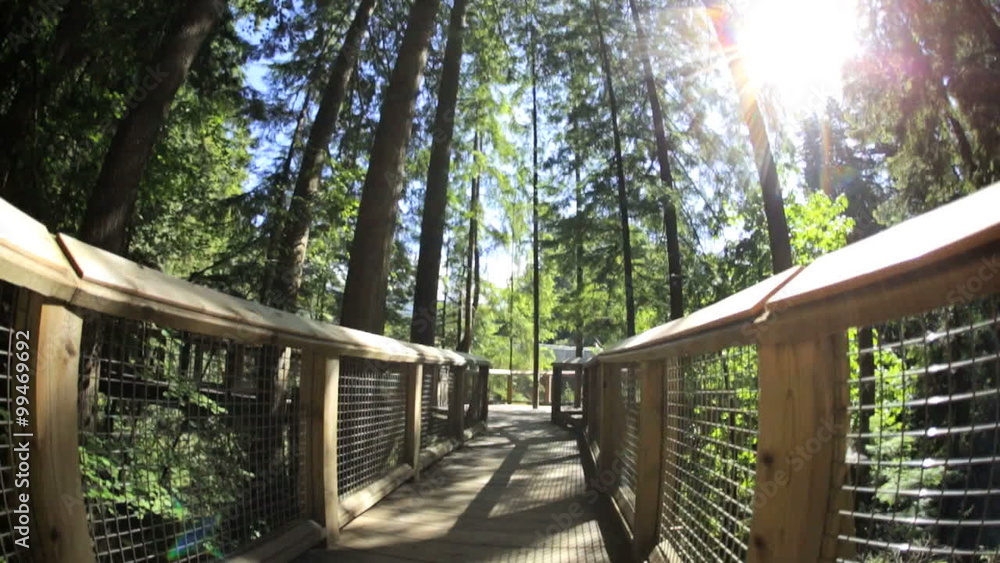 POV motion suspended Treetop footbridge canopy Capilano Red Cedar tourist Canada POV motion suspended Treetop footbridge canopy Capilano Red Cedar tourist Canada