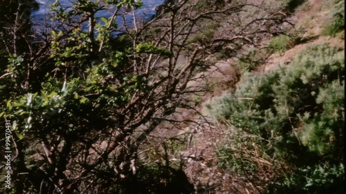 Wallpaper Mural Man horseback riding through mountains by the sea Torontodigital.ca