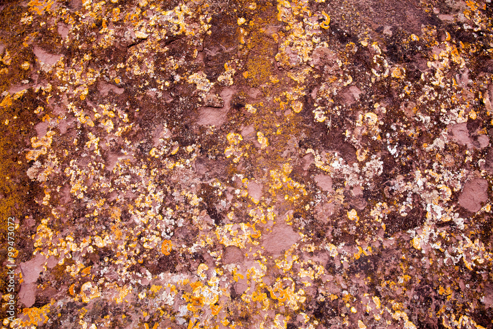 grunge textures grunge textures