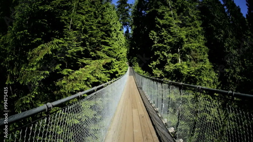 POV walk Capilano cable suspension bridge Eco Park Canada photo