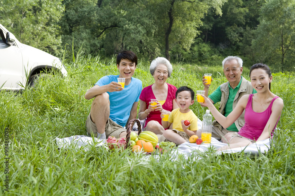 Portrait of a family picnicking Portrait of a family picnicking
