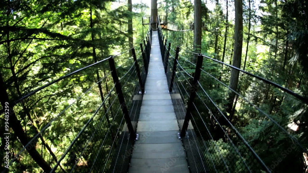 POV motion suspended Treetop canopy footbridge Capilano Vancouver Canada POV motion suspended Treetop canopy footbridge Capilano Vancouver Canada