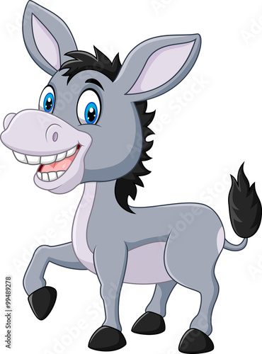 Adorable donkey isolated on white background